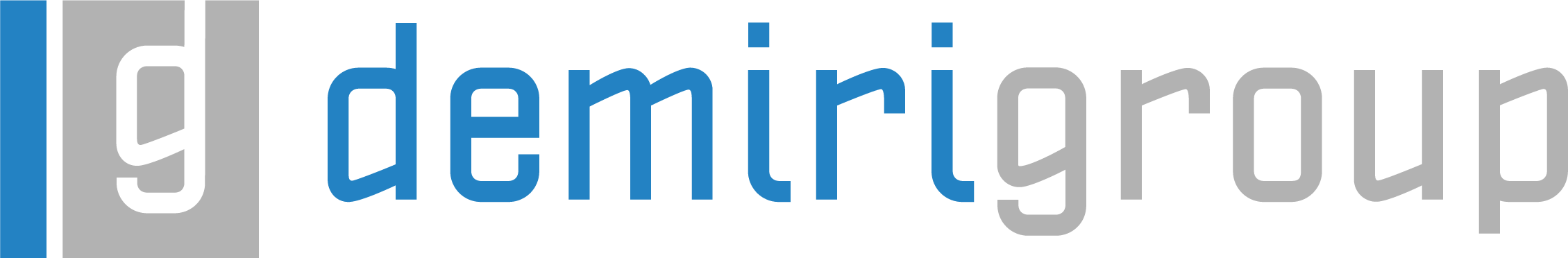 Logo_demirigroup_RGB
